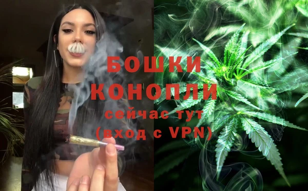 метадон Лагань