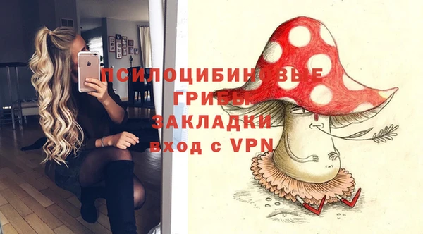 прущие крисы Ладушкин