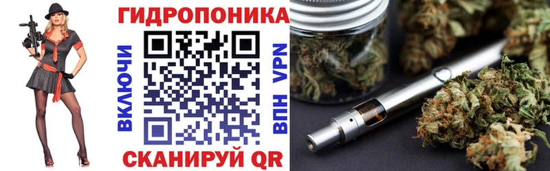 Бошки Шишки MAZAR  Купить закладки  Чусовой 